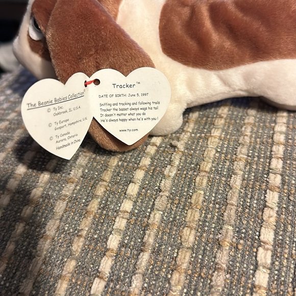 1997 Tracker Beanie Baby - Picture 3 of 6
